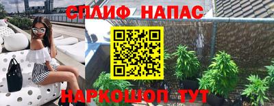 не бодяженный Будённовск